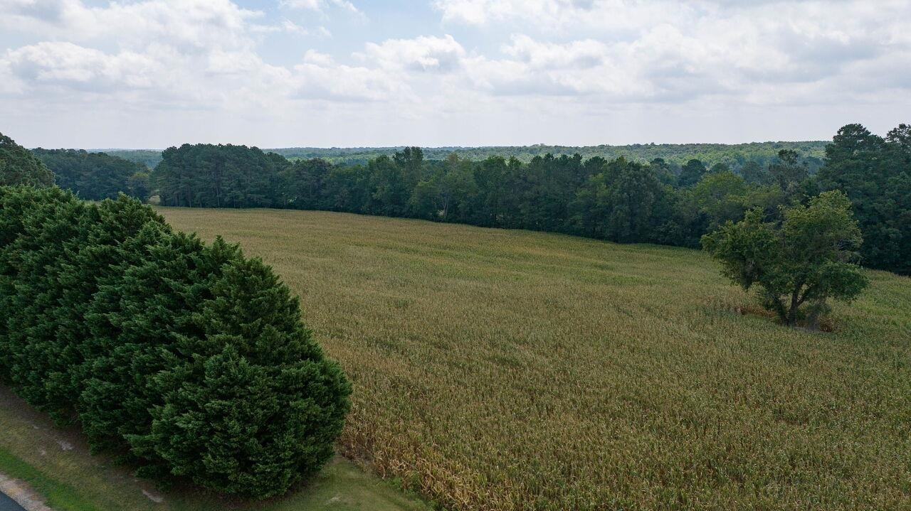 7766 Flower Hill Road Middlesex, NC 27557 - Photo 29 of 45 Photo 29
