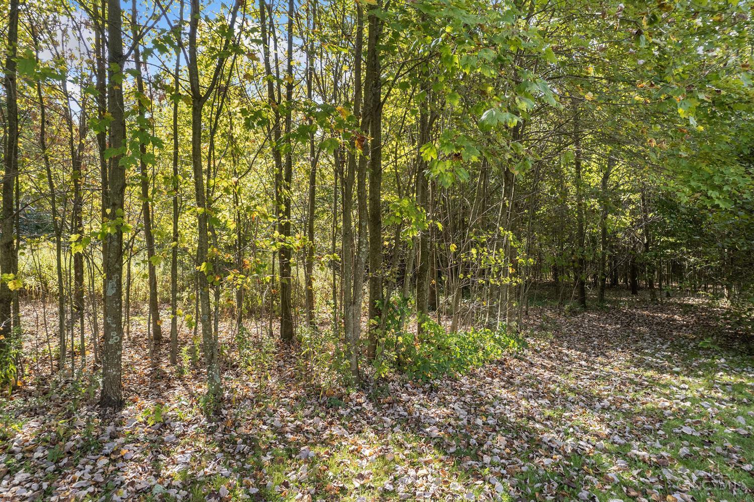 11949 Purdy Road Sardinia, OH 45171 - Photo 28 of 34