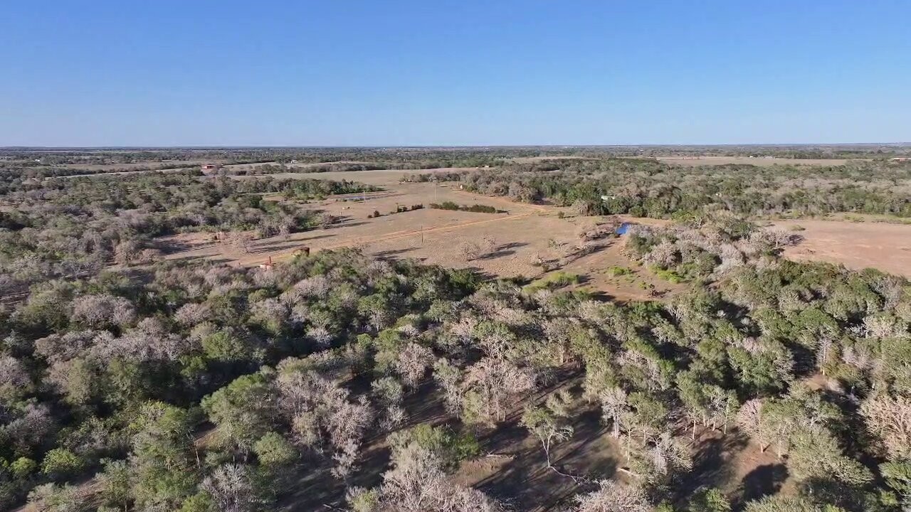 Tbd Lot 3 Tbd Road Paige, TX 78659 - Photo 7 of 15