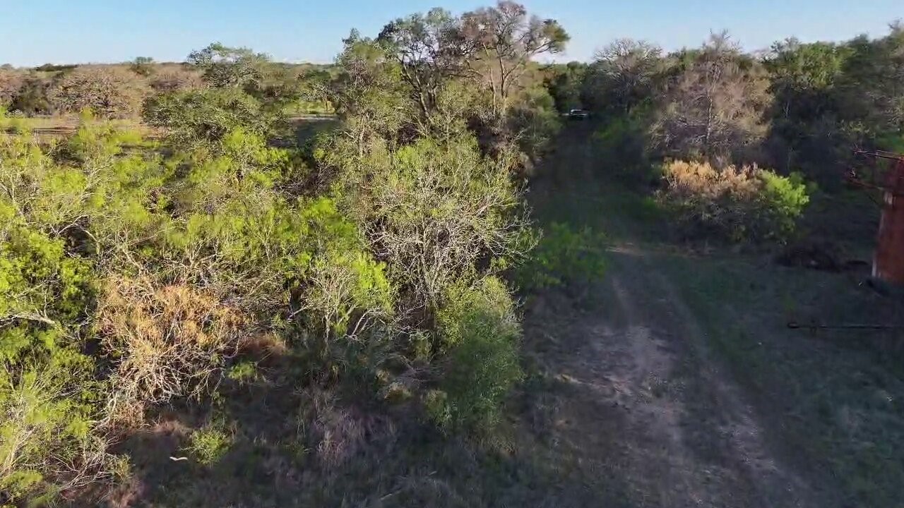Tbd Lot 3 Tbd Road Paige, TX 78659 - Photo 10 of 15 a view of a yard