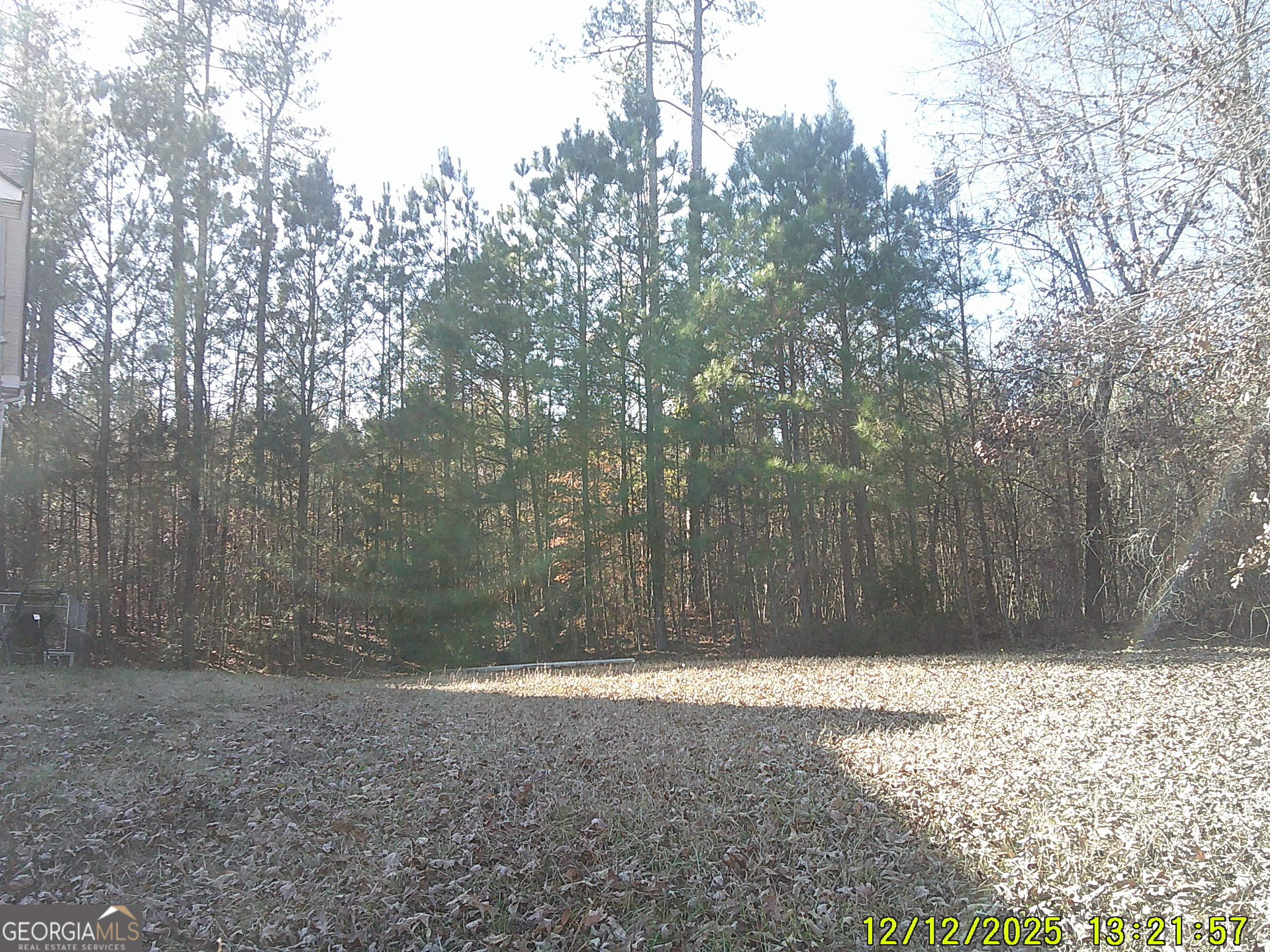 145 Clover Valley Drive Covington, GA 30016 - Photo 10 of 14