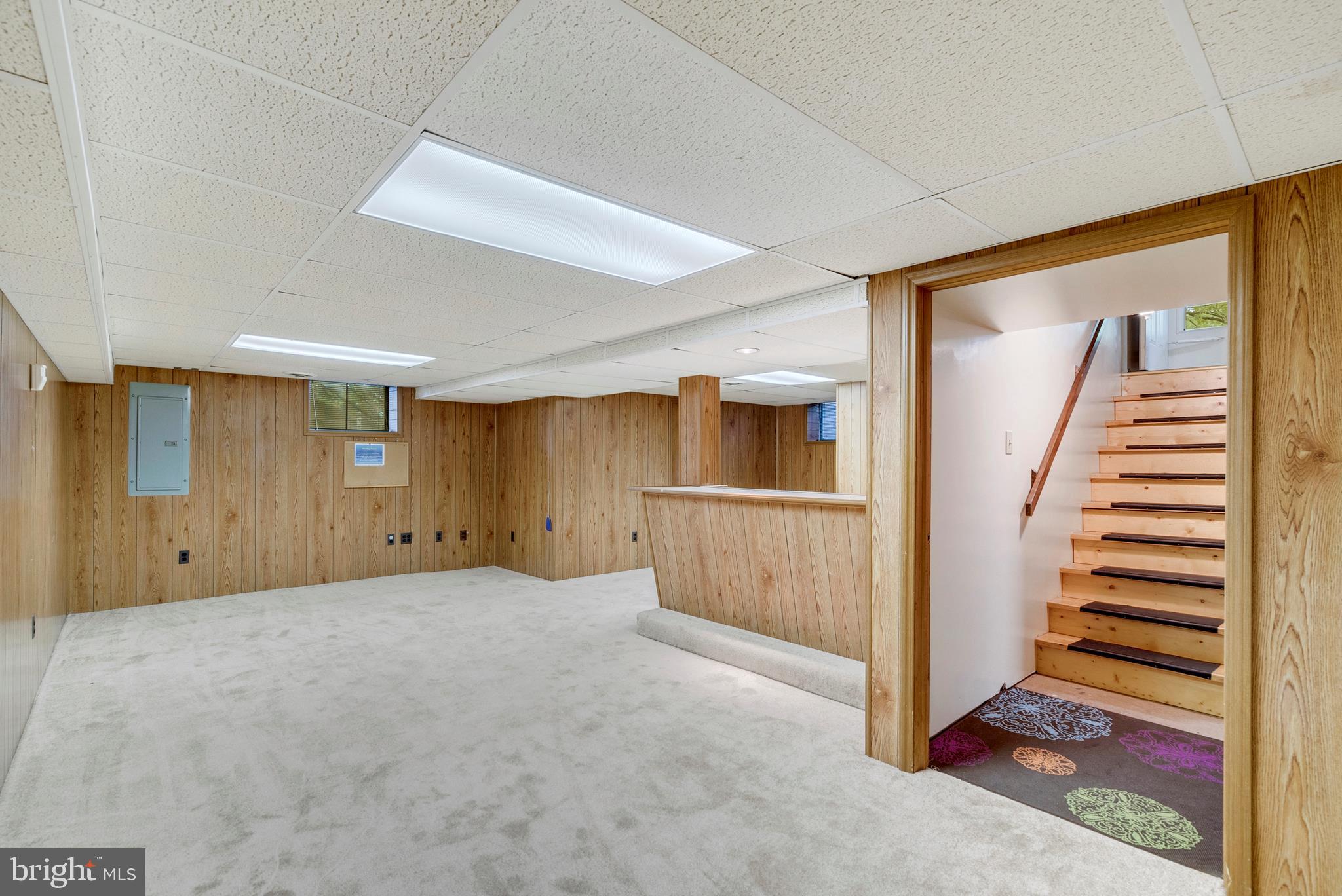 16474 Oak Shade Road Rixeyville, VA 22737 - Photo 22 of 29 Finished Basement with New Carpet