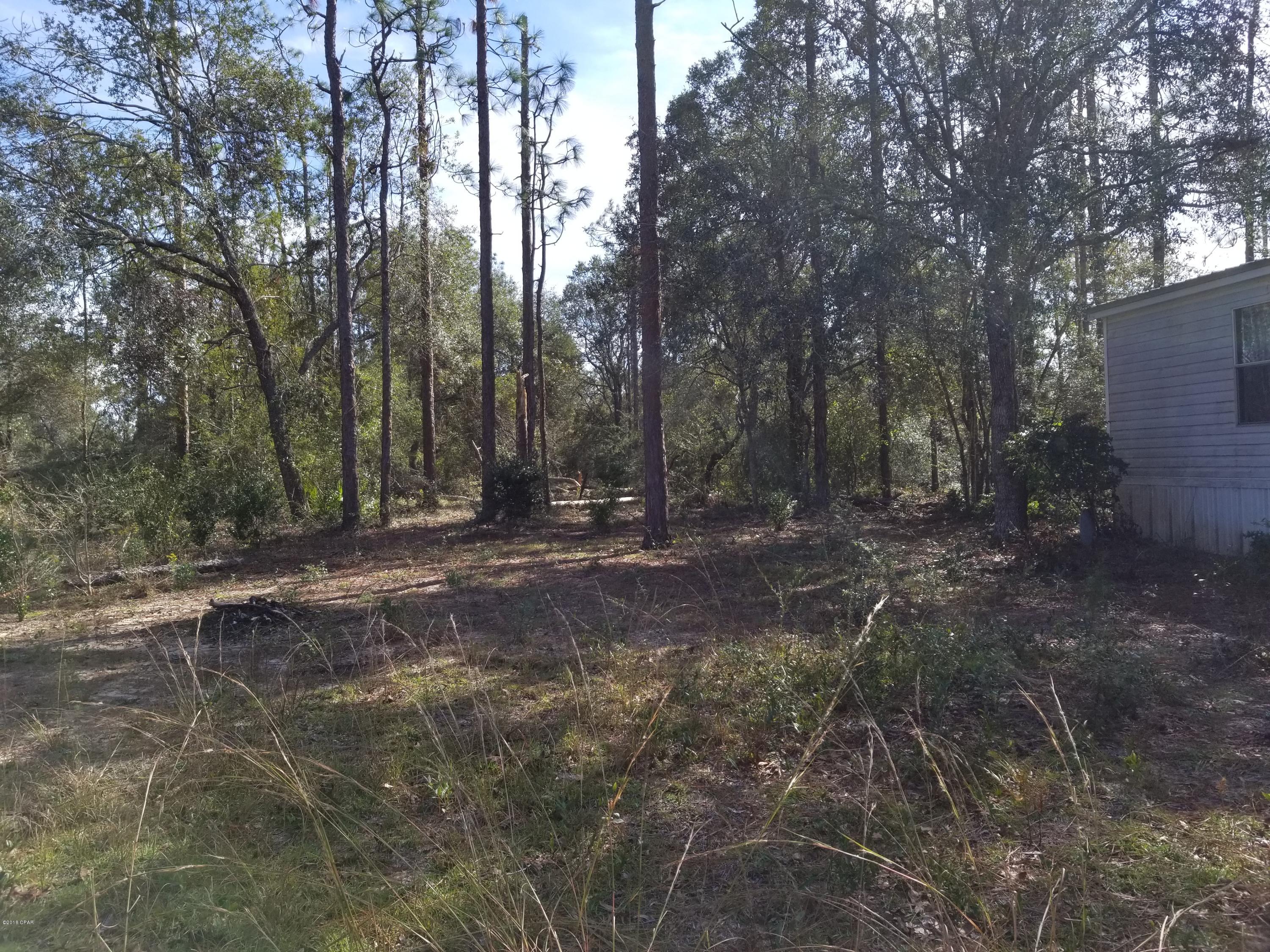 3138 Turkey Run Road Chipley, FL 32428 - Photo 29 of 42 Gallery Image 29