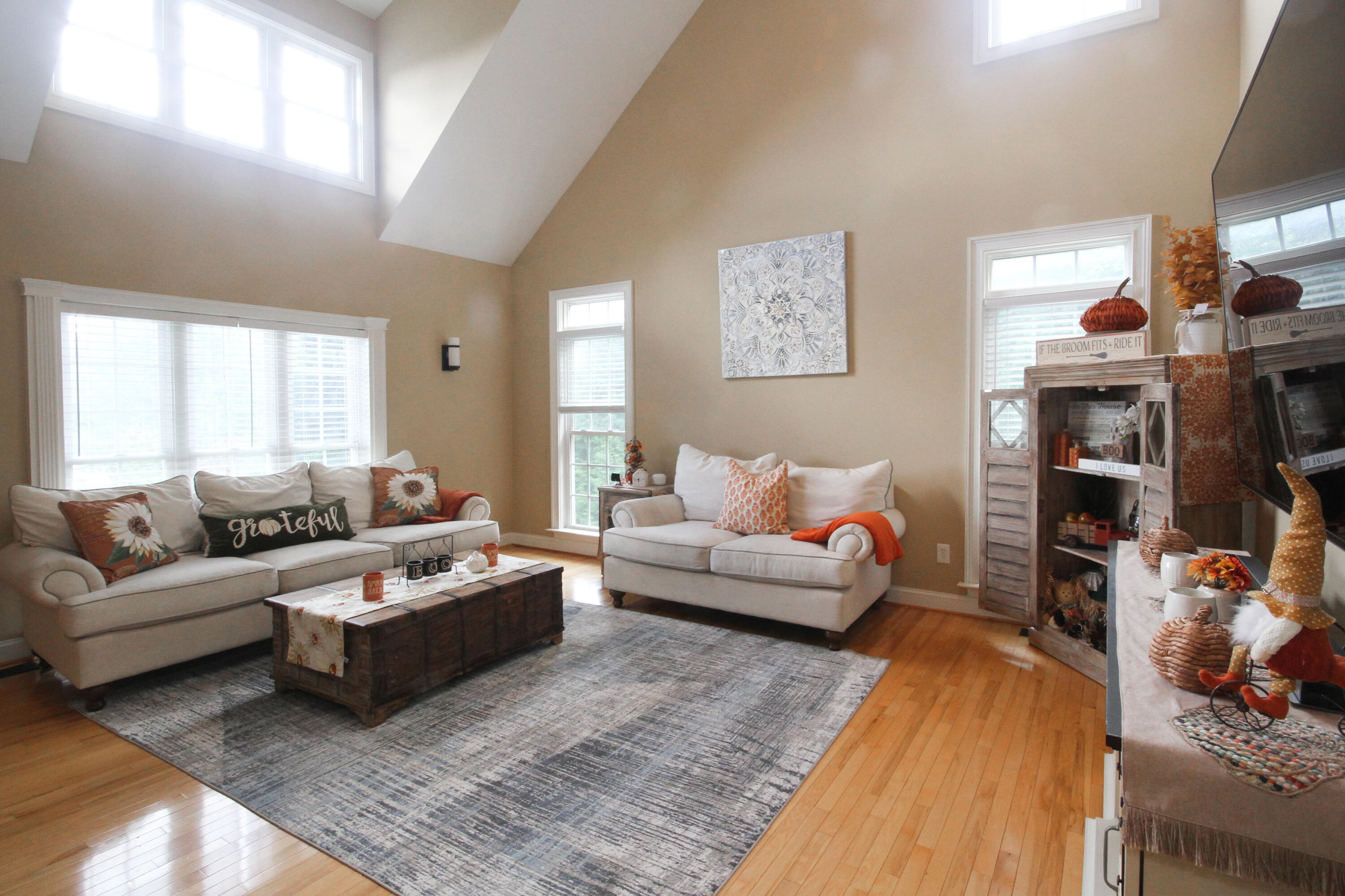 5917 Knightsbridge Road Roanoke, VA 24018 - Photo 5 of 33 5917 CS Living Room 3