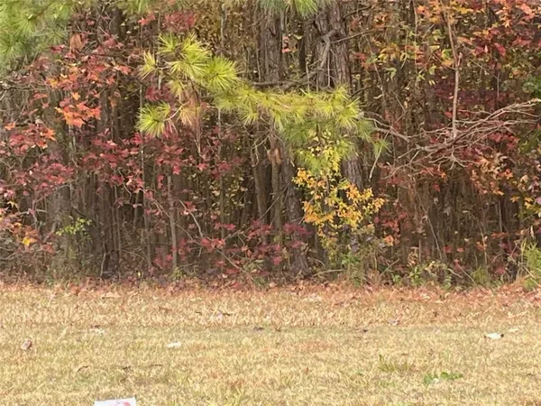 a view of a yard