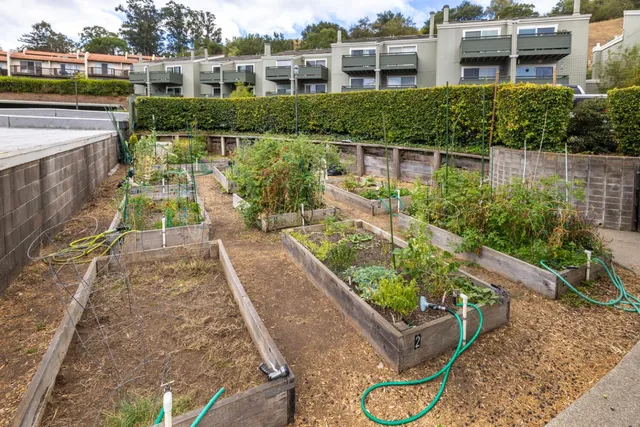 a view of a garden with a swimming pool
