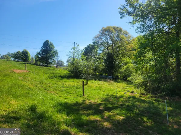 a view of a garden with a tree