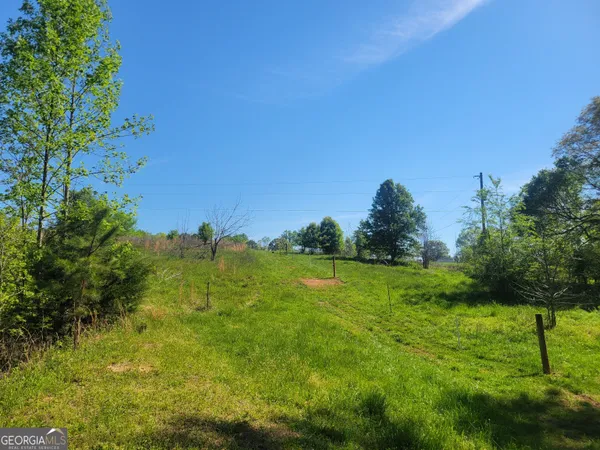 a view of a grassy field with trees