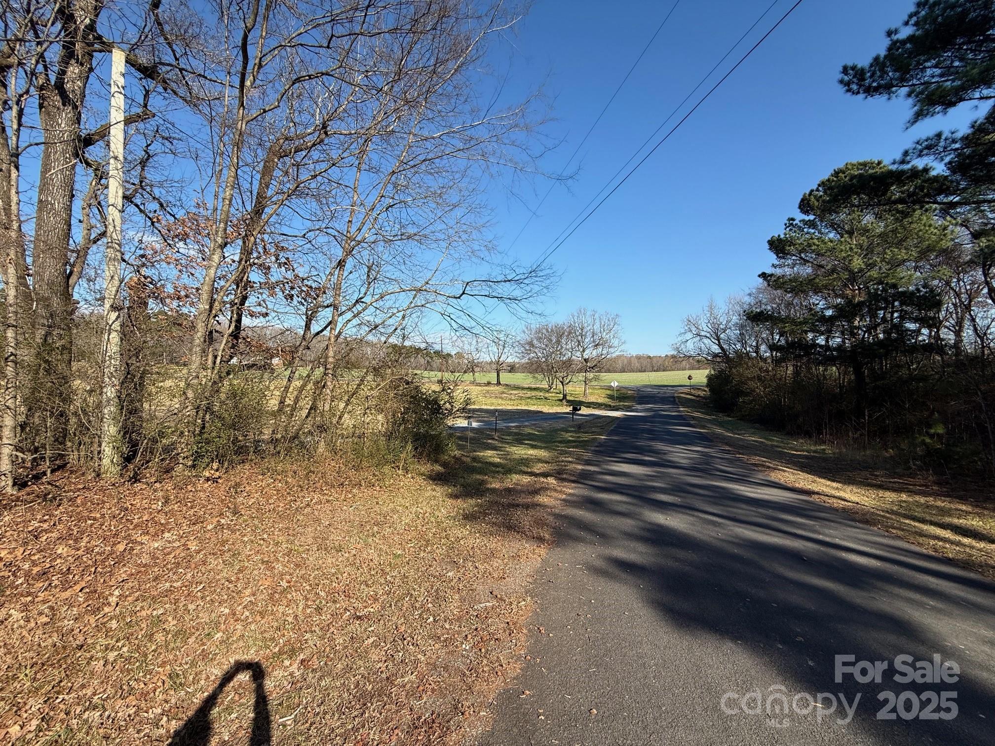 16329 Eury Road Norwood, NC 28128 - Photo 4 of 5 a view of a yard with a large tree