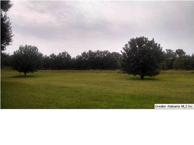 5080 Roy Webb Road Jacksonville, AL 36265 - Photo 26 of 31