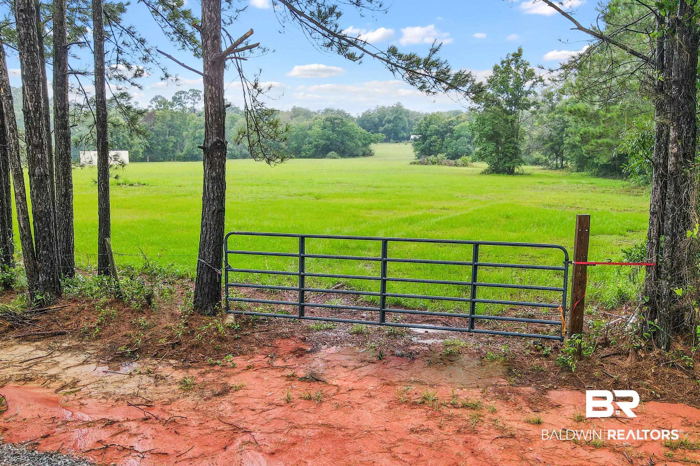 10373 Fox Lane Lillian, AL 36549 - Photo 2 of 17