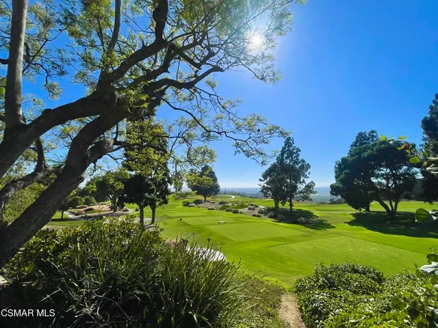 a view of a golf course with a tree
