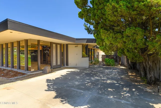 a view of a garden with a flower in a garden