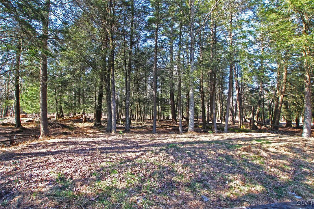 237 Sawmill Road Pocono Lake, PA 18347 - Photo 18 of 26 Gallery Image 18