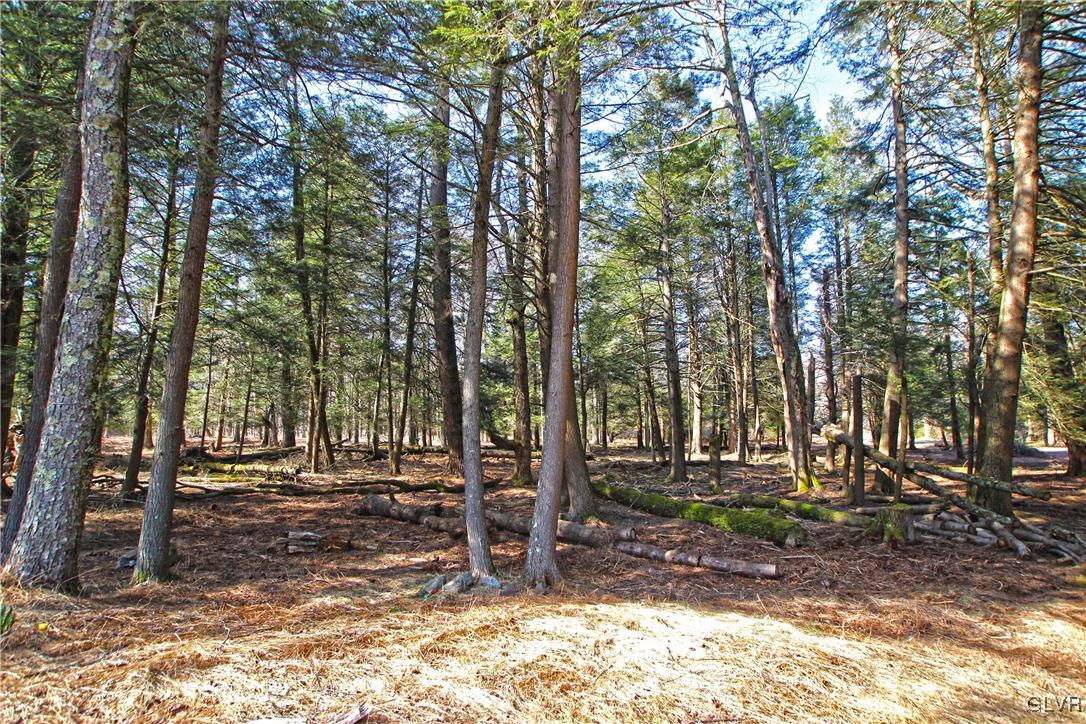 237 Sawmill Road Pocono Lake, PA 18347 - Photo 3 of 26 Gallery Image 3