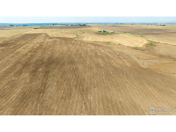 a black and white photo of a beach