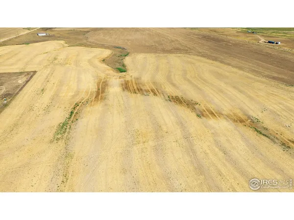 a black and white photo of a house