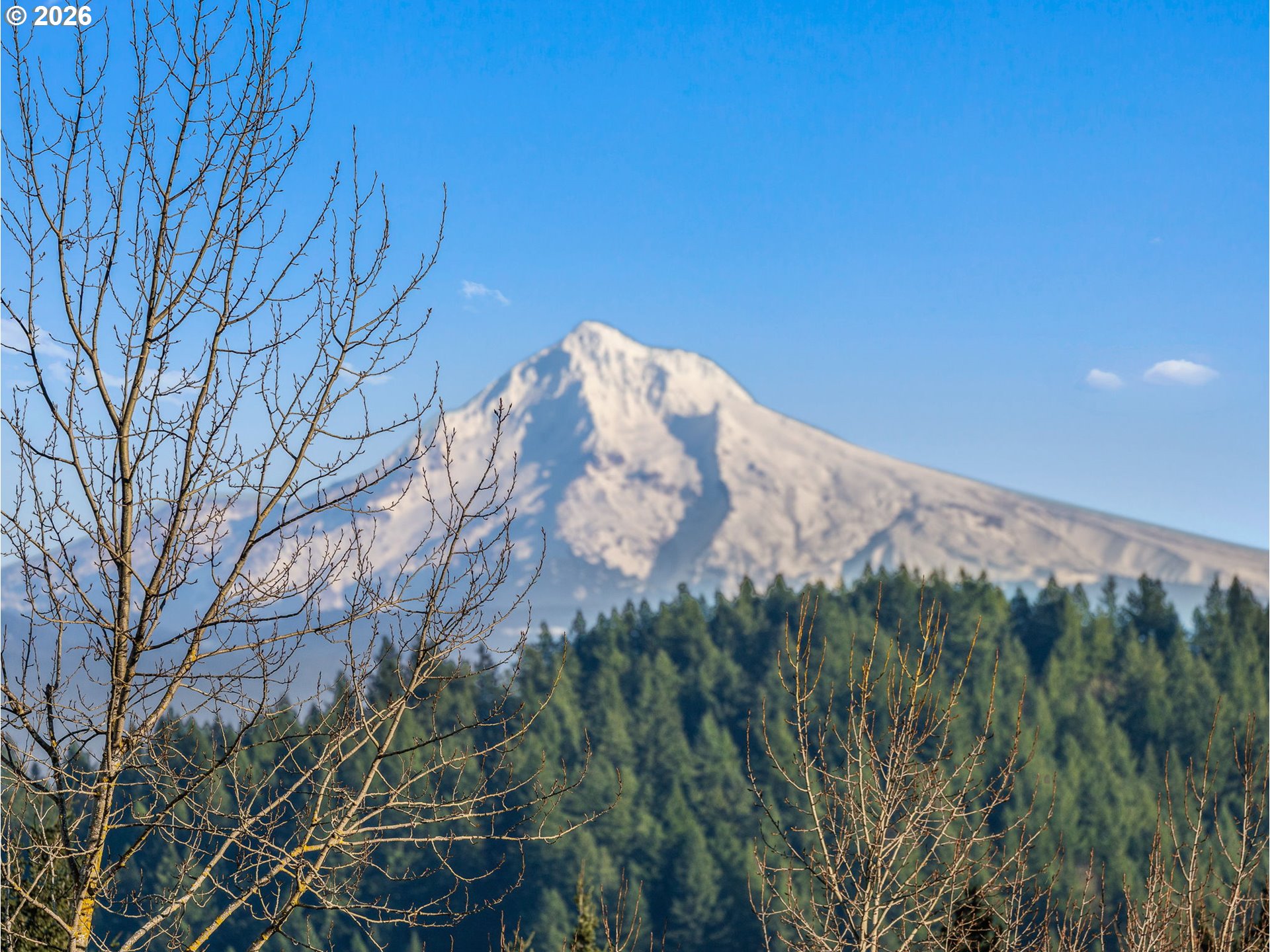 10180 Southeast Cresthill Road Happy Valley, OR 97086 - Photo 4 of 48