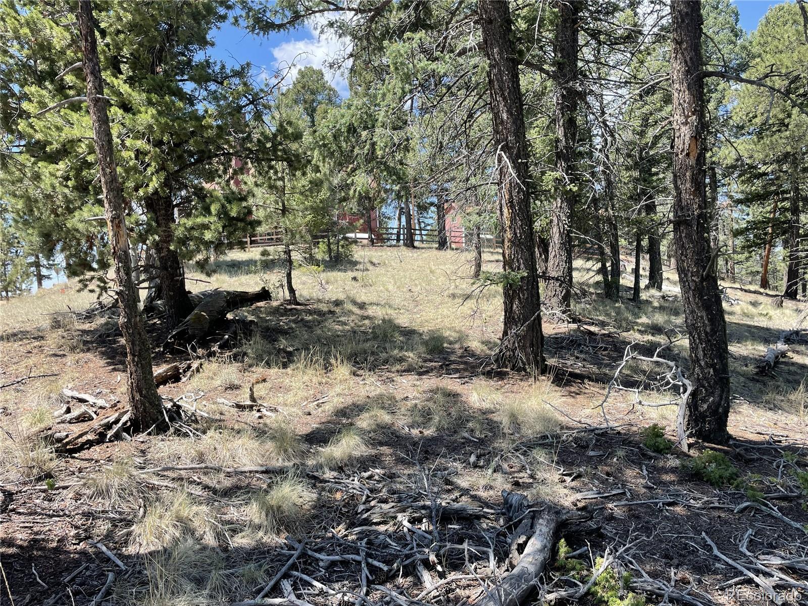 971 Spring Valley Lane Florissant, CO 80816 - Photo 2 of 11