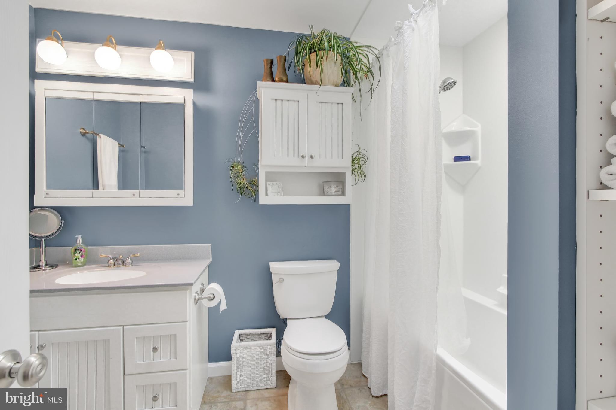 259 Governor Stable Road Bainbridge, PA 17502 - Photo 15 of 65 Bathroom for Bedroom 2