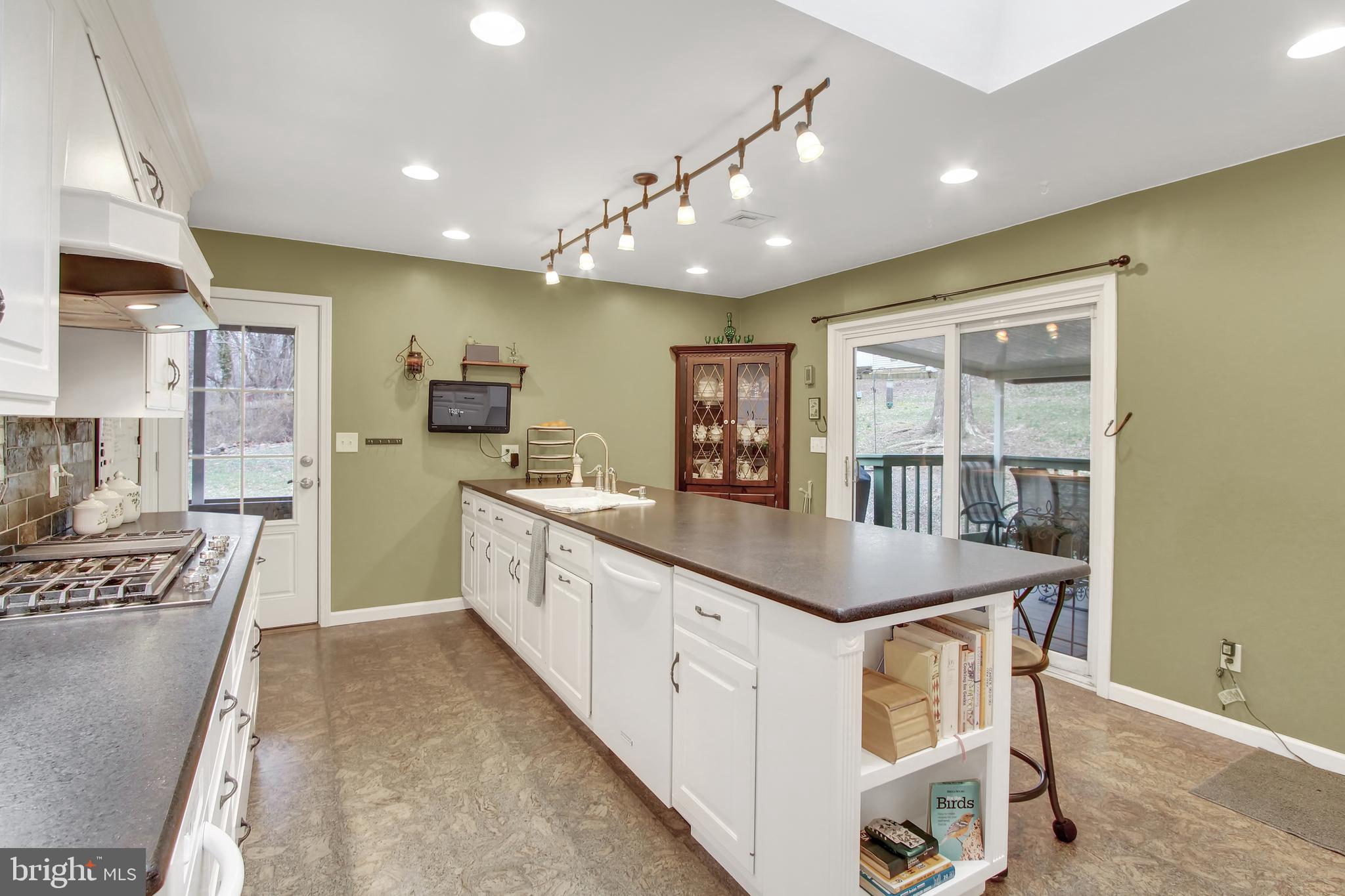 259 Governor Stable Road Bainbridge, PA 17502 - Photo 6 of 65 Kitchen
