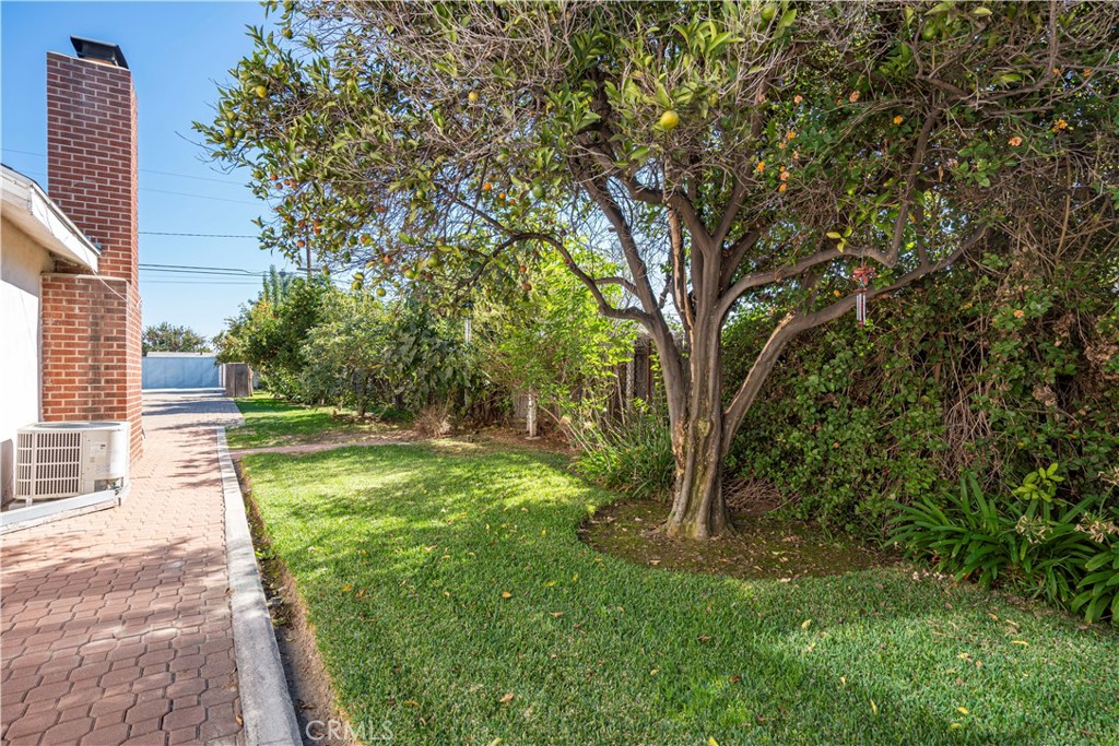 12100 Colima Road Whittier, CA 90604 - Photo 14 of 17 a view of a backyard with large trees