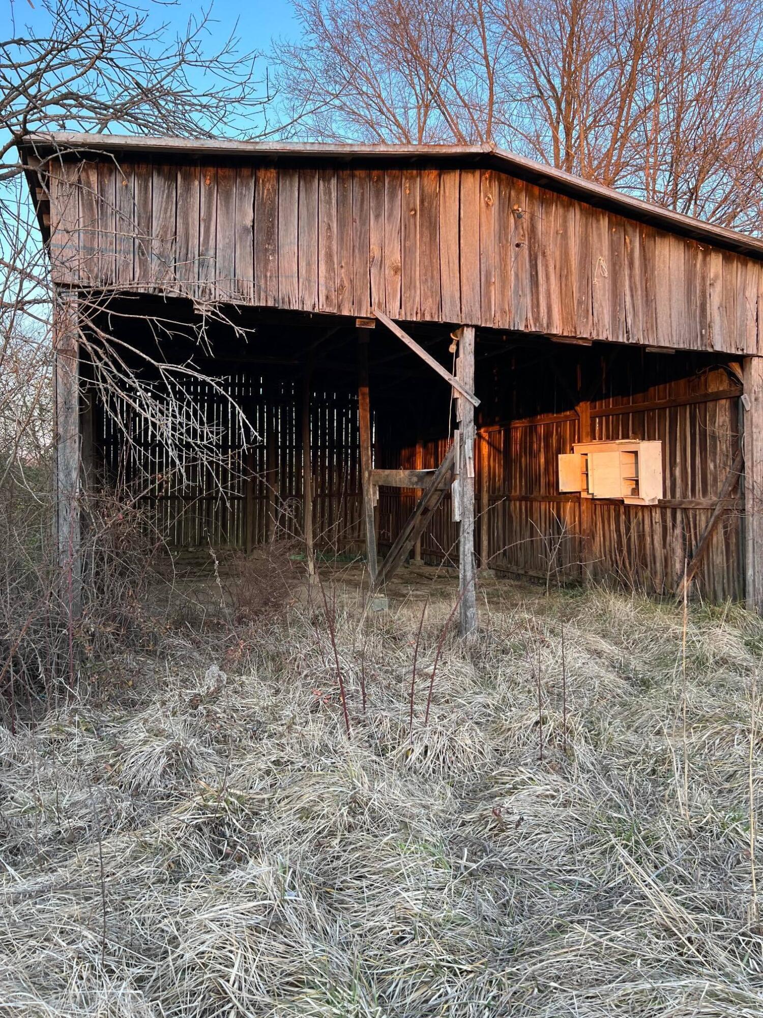 7225 McDonald Road Mohawk, TN 37810 - Photo 4 of 18 Home