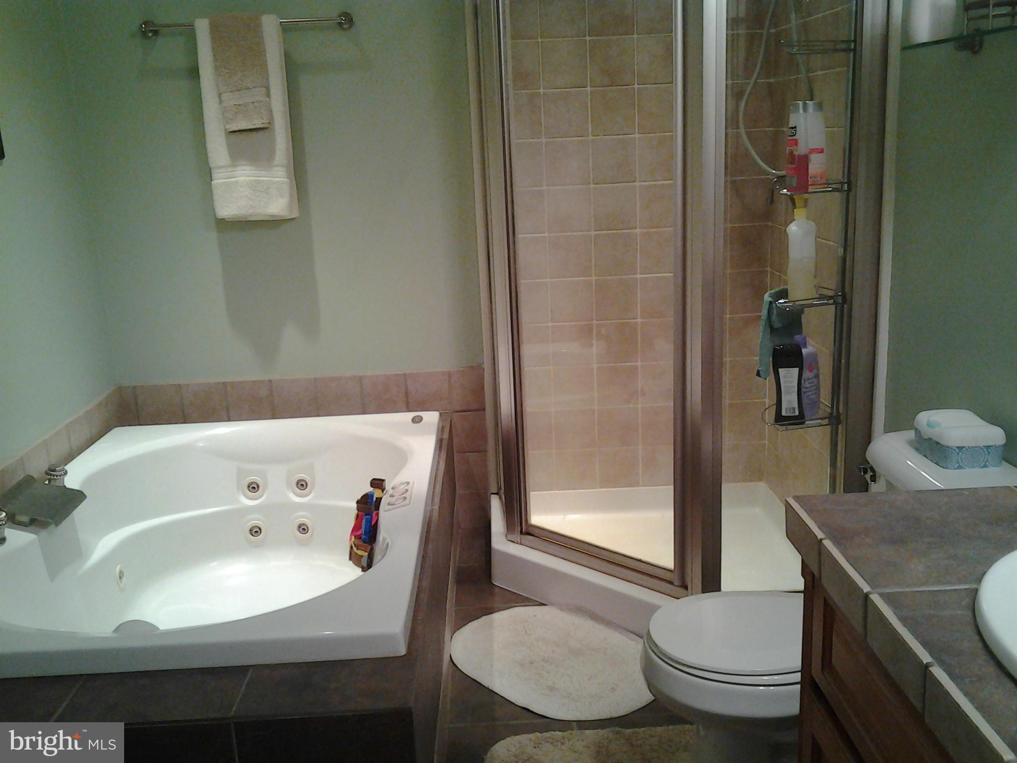 5255 Mackall Road St. Leonard, MD 20685 - Photo 14 of 30 Bath (Master)