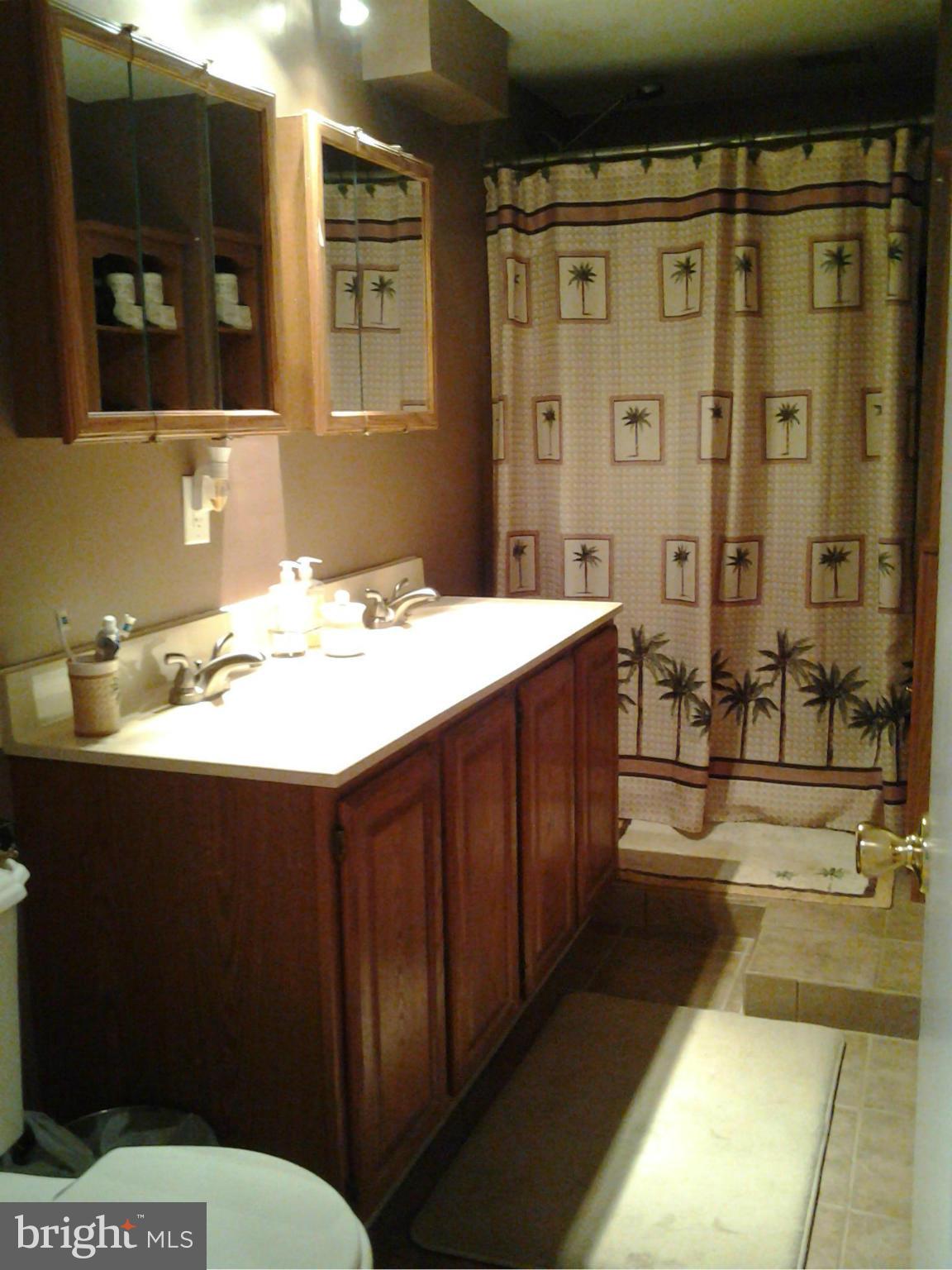 5255 Mackall Road St. Leonard, MD 20685 - Photo 22 of 30 Bath