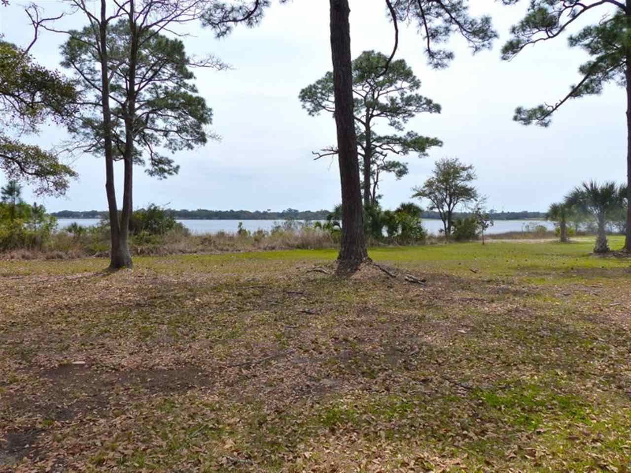504 Greve Road Pensacola, FL 32507 - Photo 4 of 19 Walking Trails along the bayou steps from house!