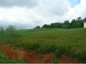 393 Sliger Road, Unit 3 Jonesborough, TN 37659 - Photo 3 of 3 Photo 3