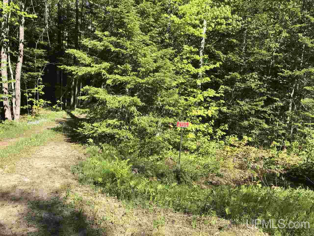 7376 Rosemund Road Shingleton, MI 49884 - Photo 2 of 6