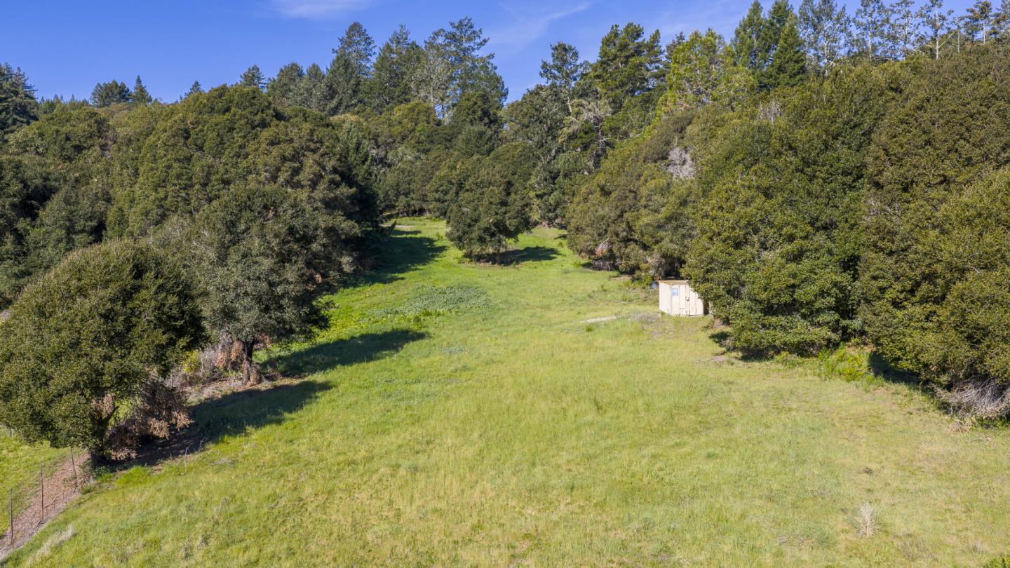 1073 Larsen Road Aptos, CA 95003 - Photo 8 of 18 a view of a yard