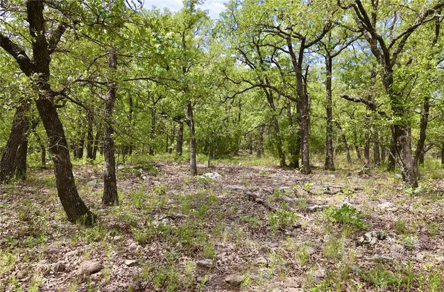 a view of a lake with a city