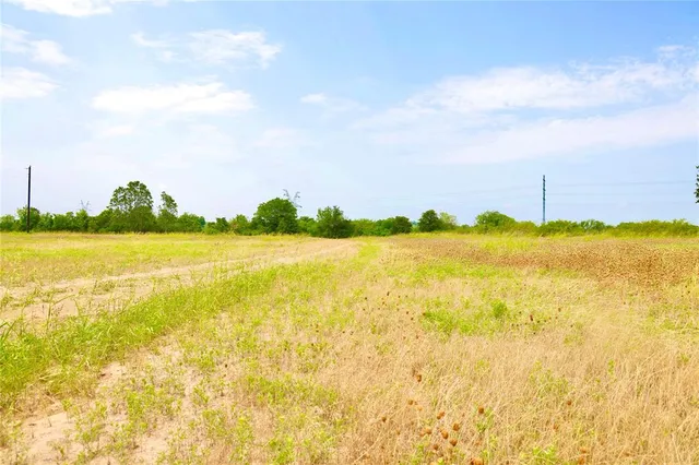a view of a park with large trees