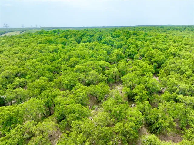 a view of a field with an ocean view