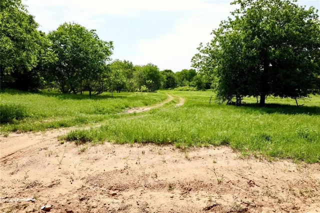 an aerial view of residential houses with outdoor space and trees