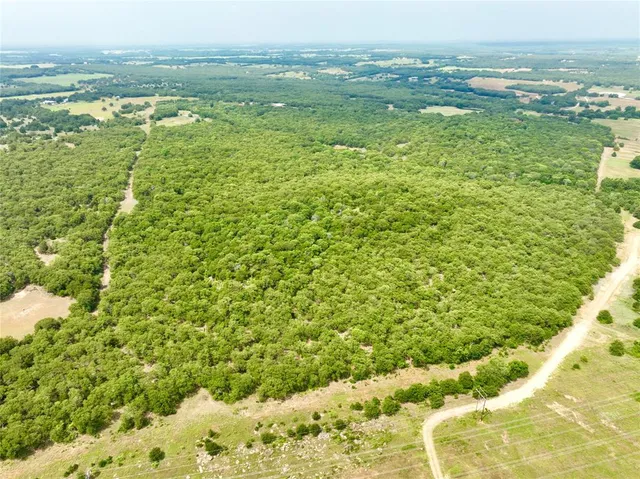 an aerial view of residential houses with outdoor space and trees