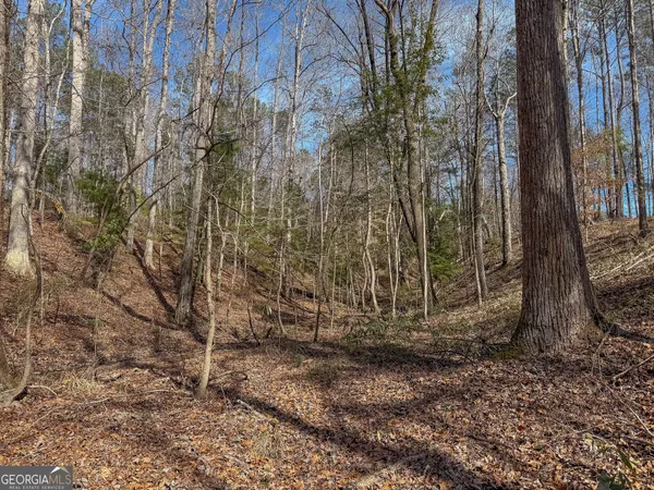 $1,100,000 | 11709 Ga-1, Lumpkin, GA 31815