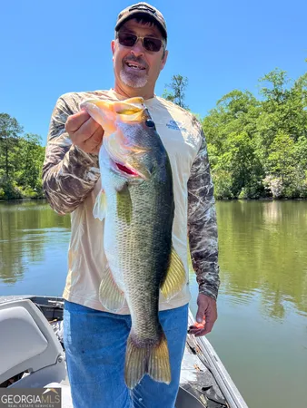 $1,100,000 | 11709 Ga-1, Lumpkin, GA 31815