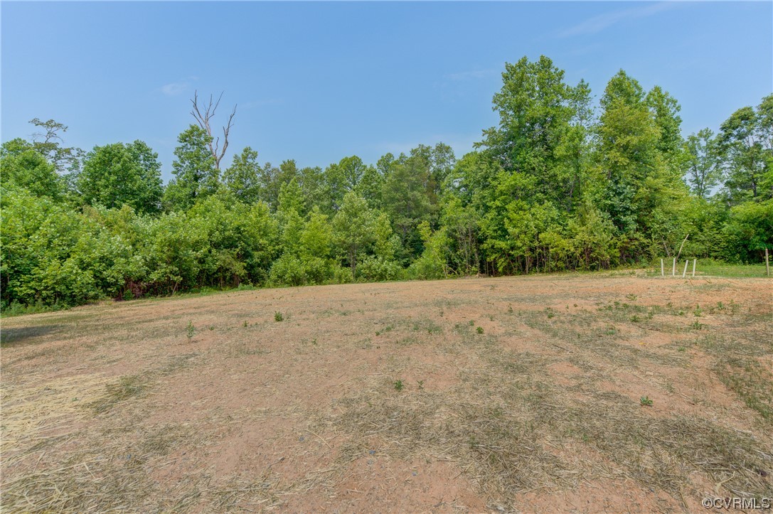 400 New S Ridge Road Bumpass, VA 23024 - Photo 40 of 41 a view of a yard with a plant