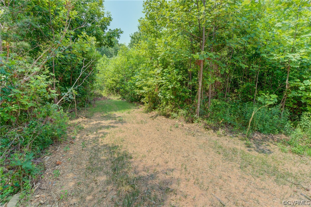 400 New S Ridge Road Bumpass, VA 23024 - Photo 41 of 41 a view of a forest with trees in the background