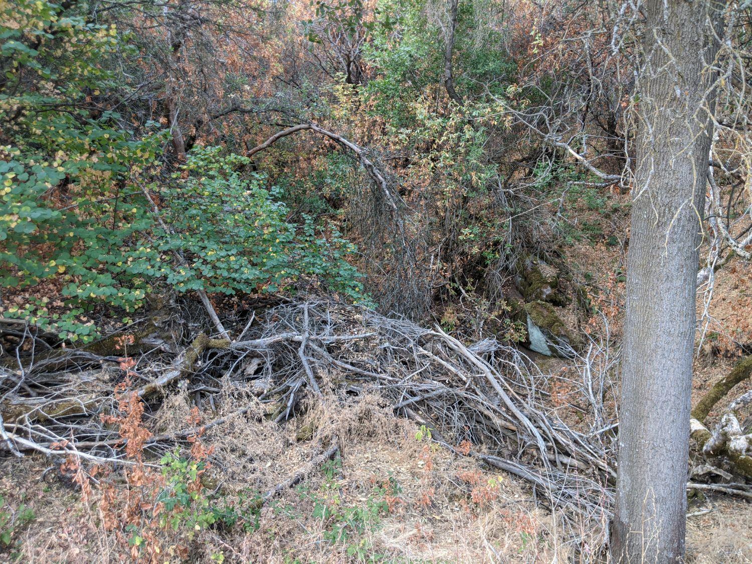 0 195-470-03 Dunlap Road Miramonte, CA 93641 - Photo 15 of 15 Gallery Image 15