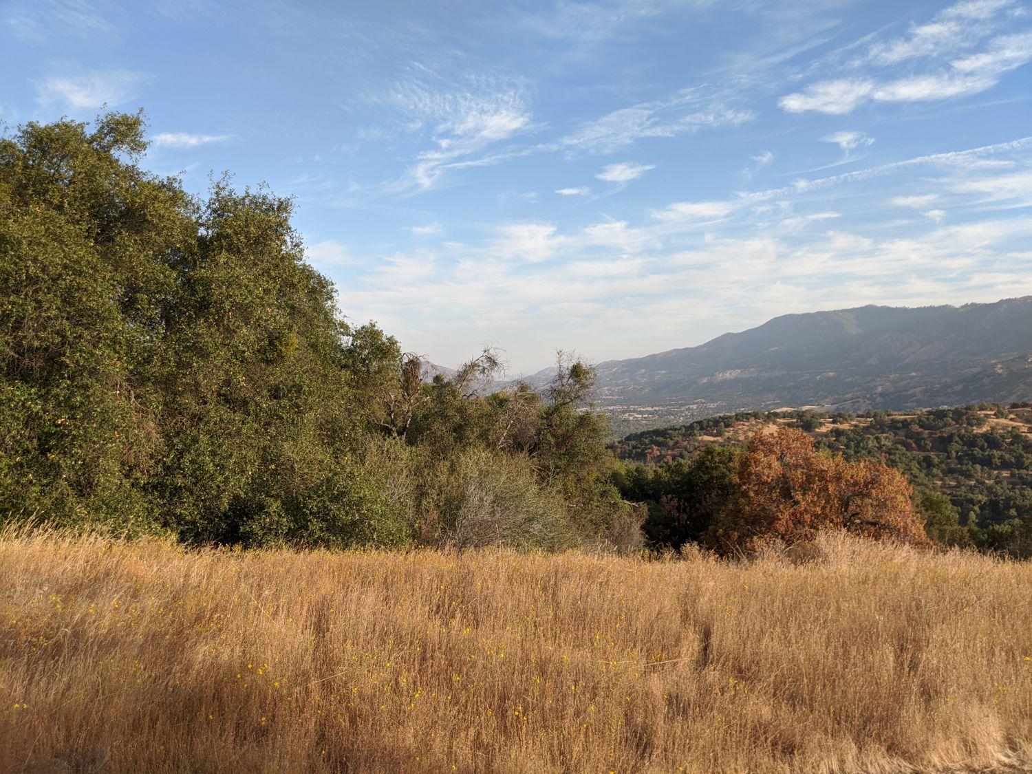 0 195-470-03 Dunlap Road Miramonte, CA 93641 - Photo 4 of 15 Gallery Image 4