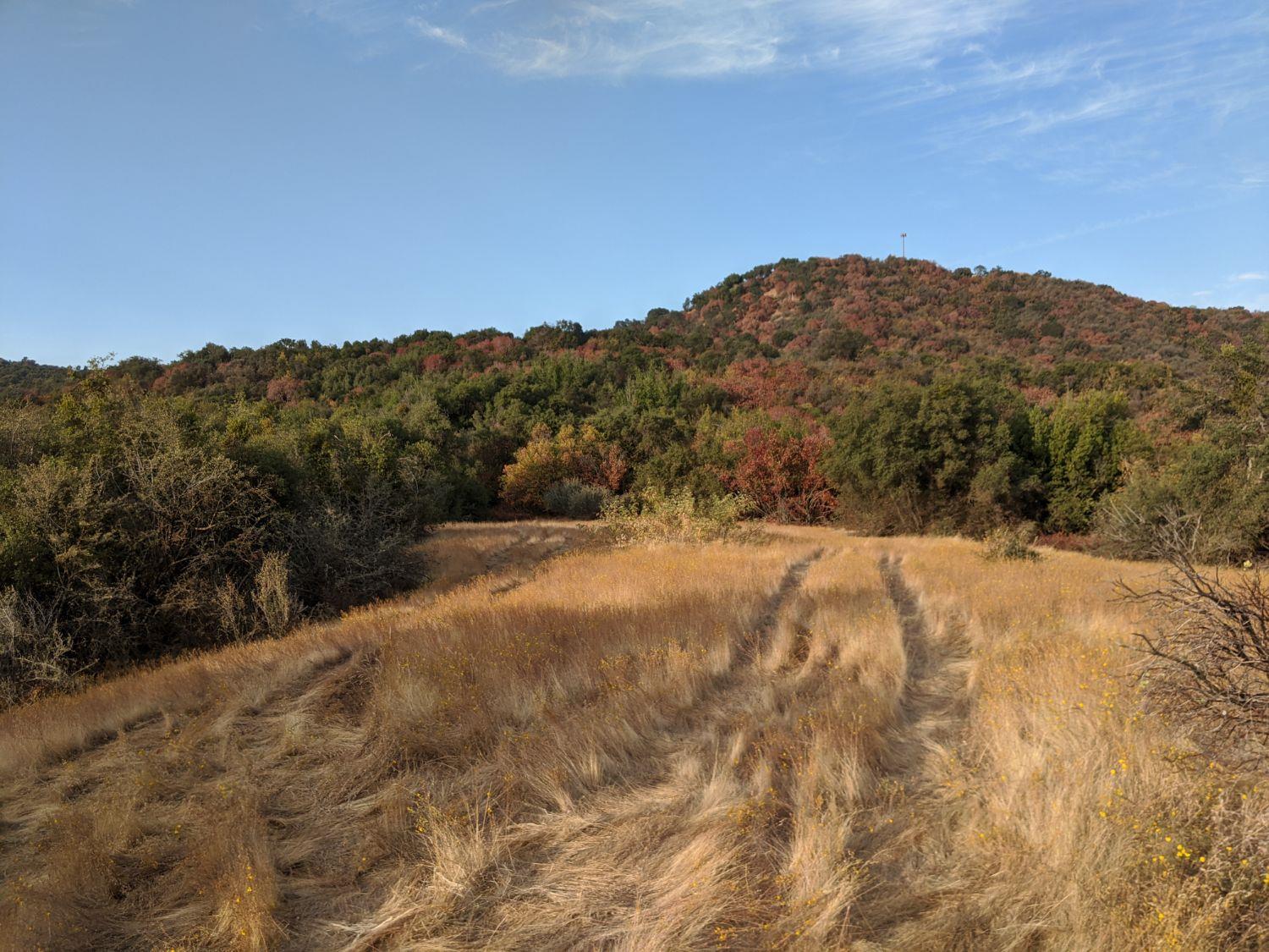 0 195-470-03 Dunlap Road Miramonte, CA 93641 - Photo 5 of 15 Gallery Image 5
