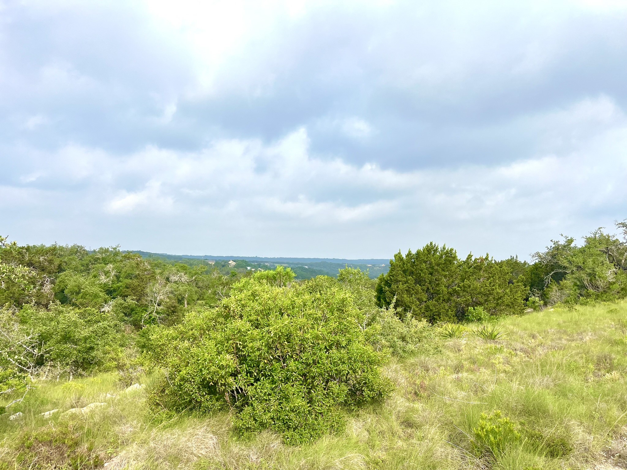 509 Greystone Road Dripping Springs, TX 78620 - Photo 1 of 38 Gallery Image 1