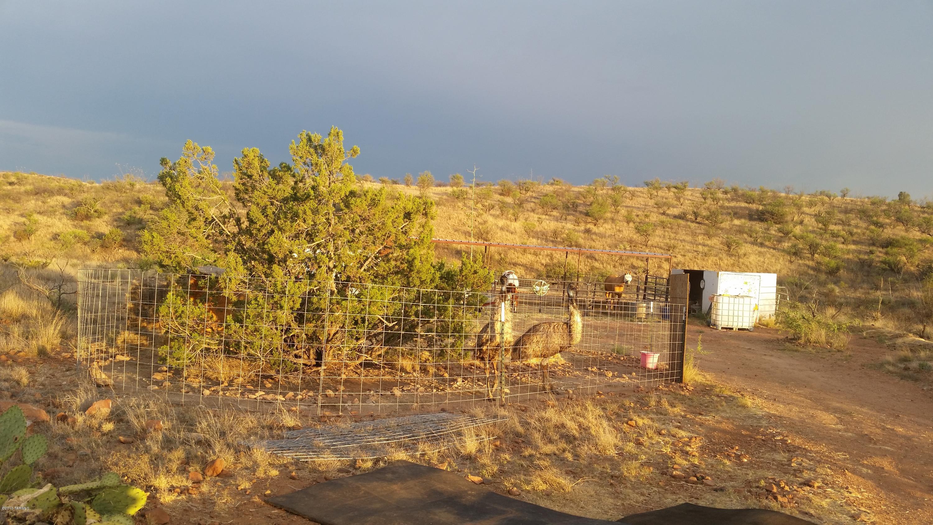 21750 South Red Cloud Mine Road Vail, AZ 85641 - Photo 16 of 19