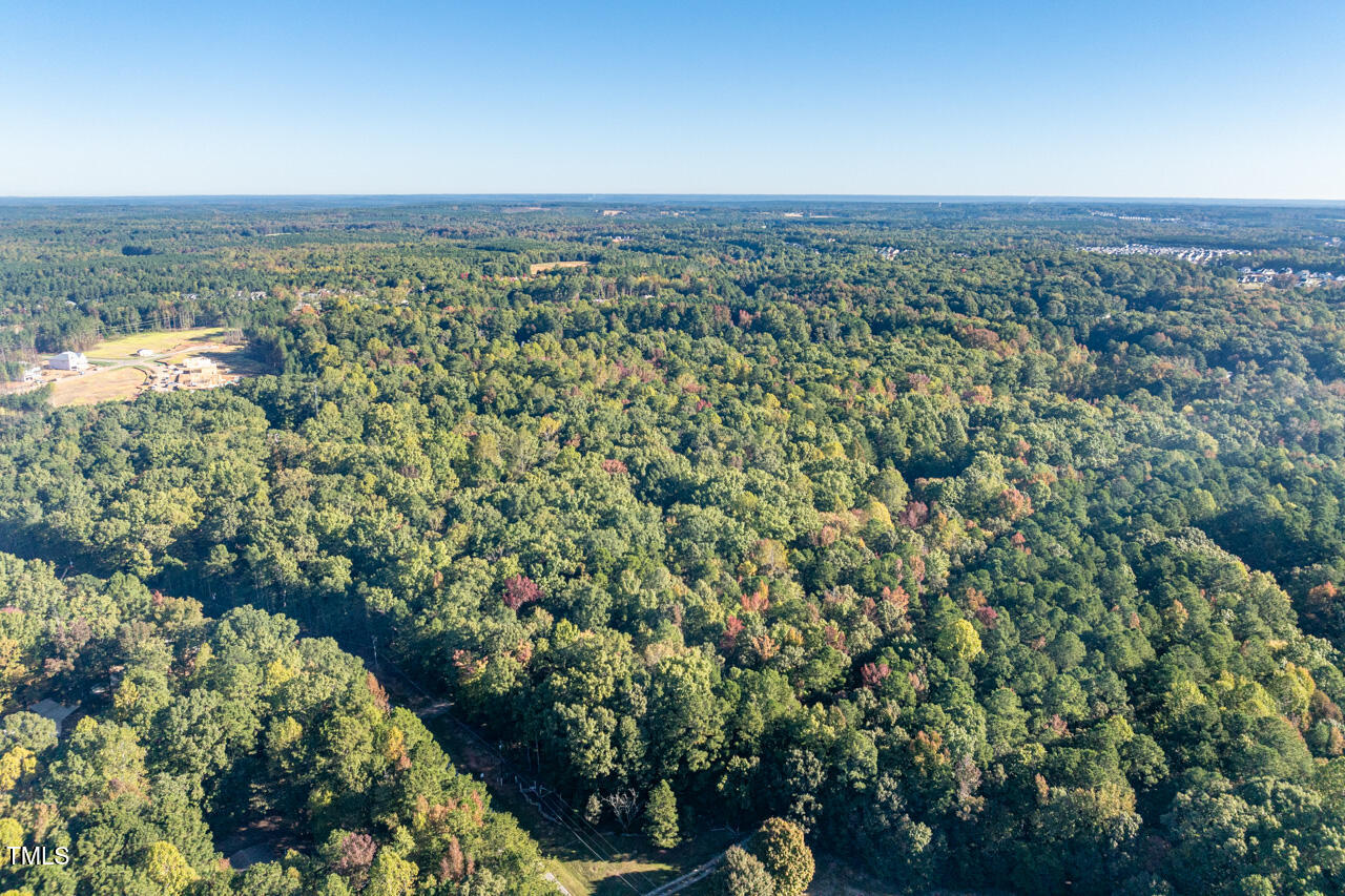 336 Raleigh Farms Road Youngsville, NC 27596 - Photo 21 of 52 336 N Raleigh Farms-21