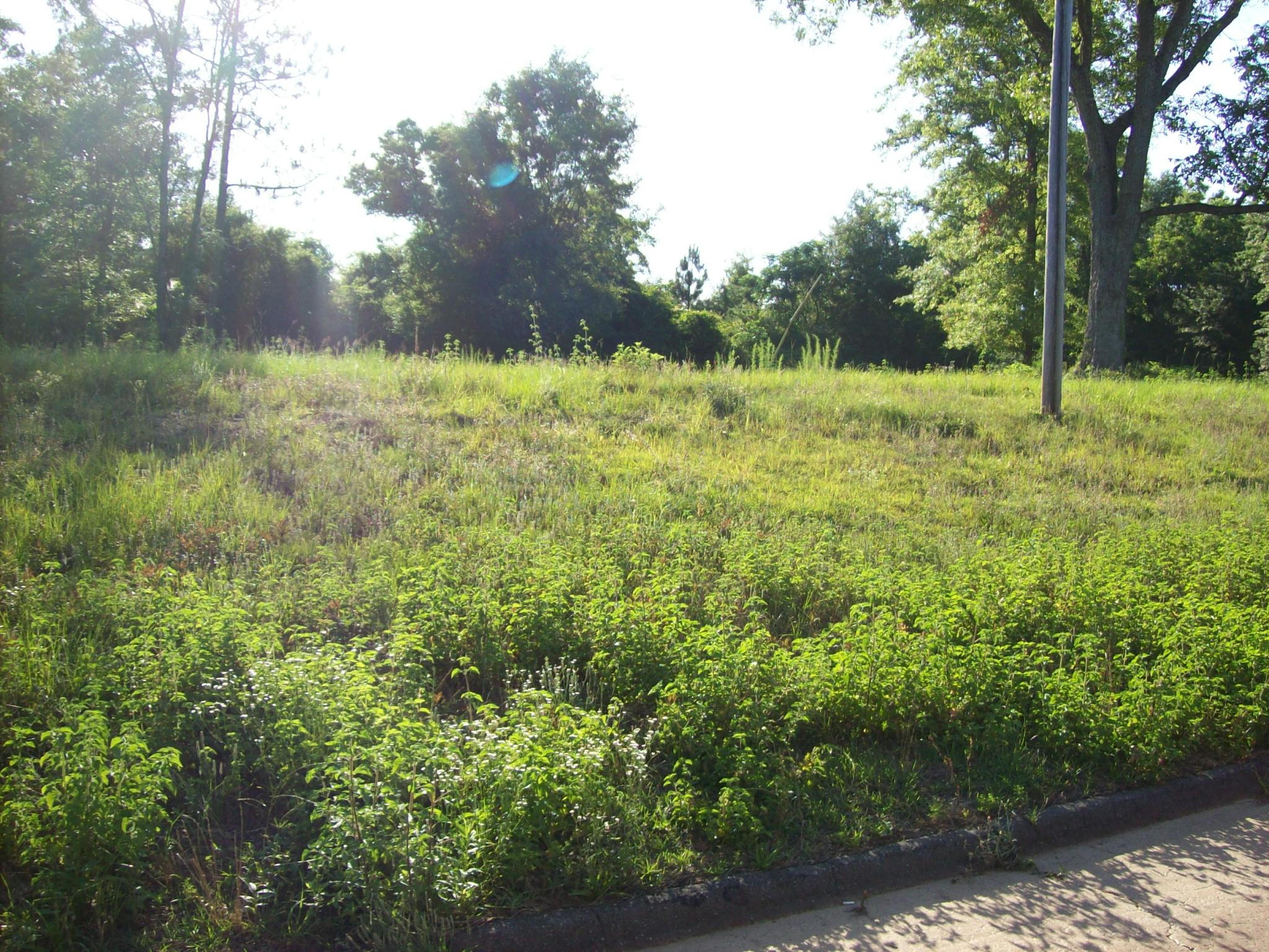 Xx Steele Road Baker, FL 32531 - Photo 1 of 9 a view of outdoor space with a yard