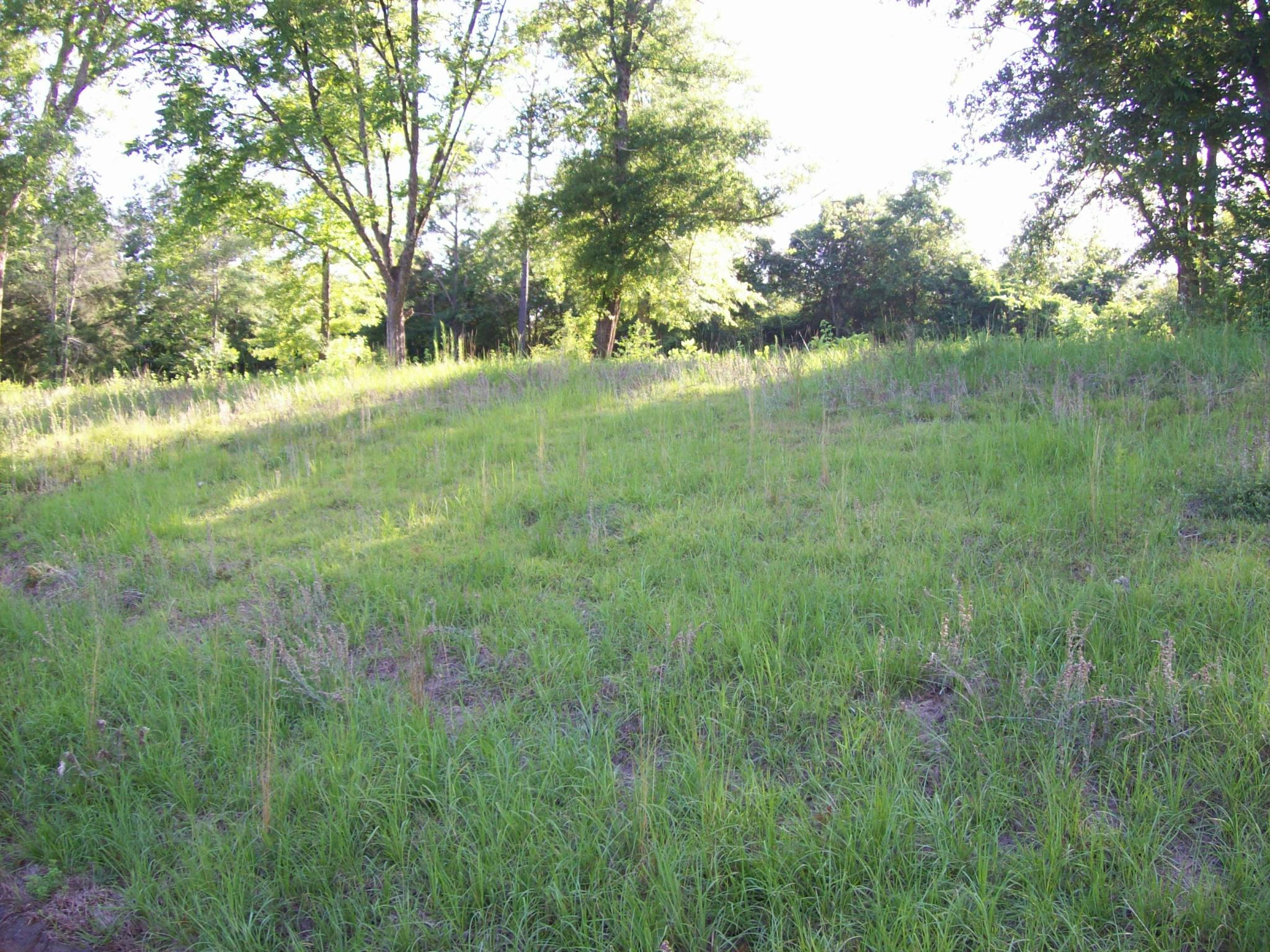 Xx Steele Road Baker, FL 32531 - Photo 2 of 9 a view of outdoor space and yard